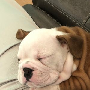 Meet your Posher, Veronica